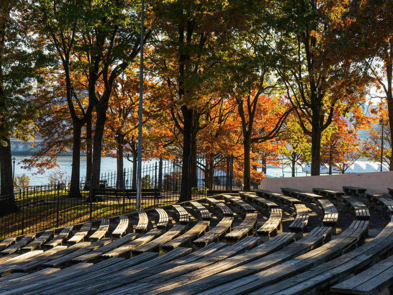 Amphitheater and 80-year-old oak grove that were never flooded. © Pat Arnow Photo